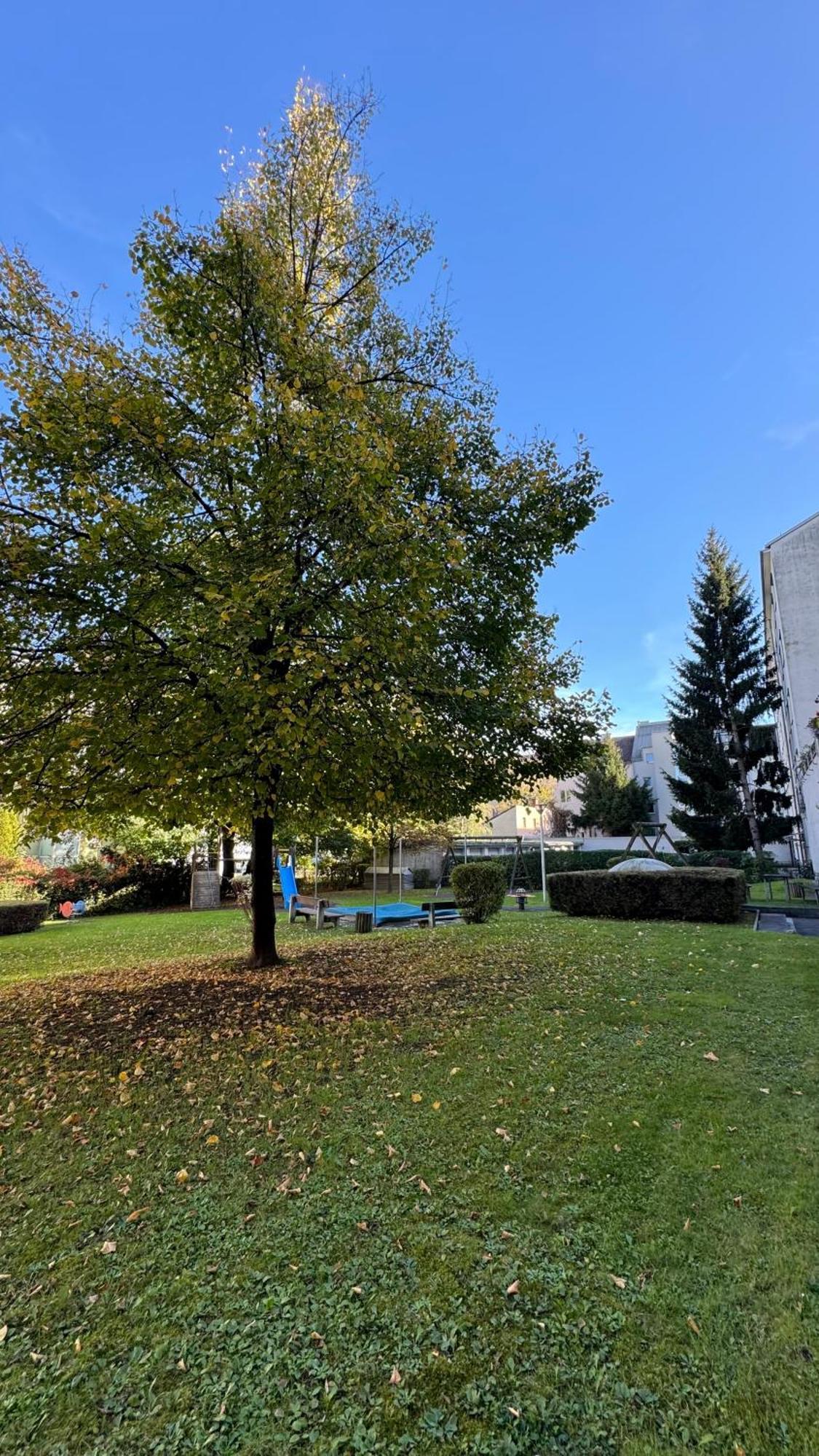 City Apartement Linz Fuer 5 Gaeste Mit Self-Checkin Und Kueche Exteriör bild